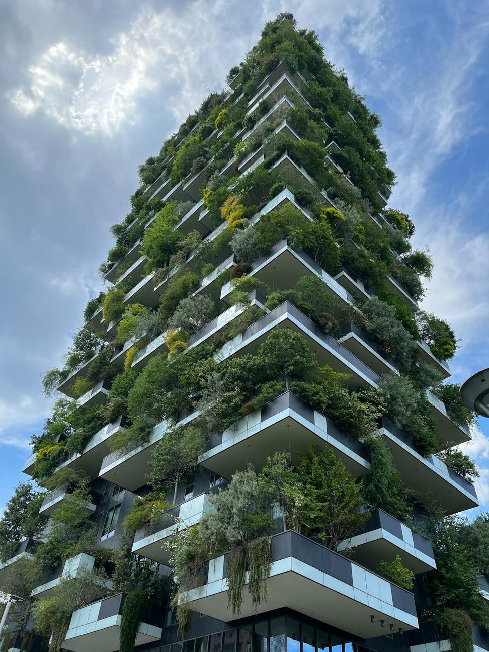 Sustainable Green Building Solutions